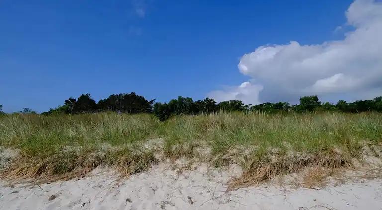 Sommerhus i Væggerløse