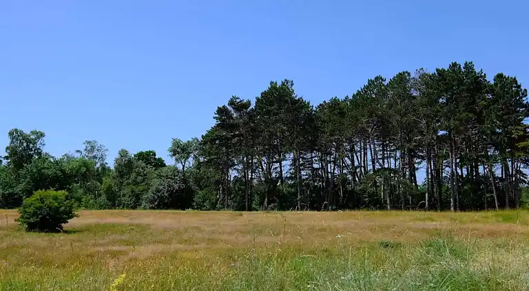 Vakantiehuis in Væggerløse