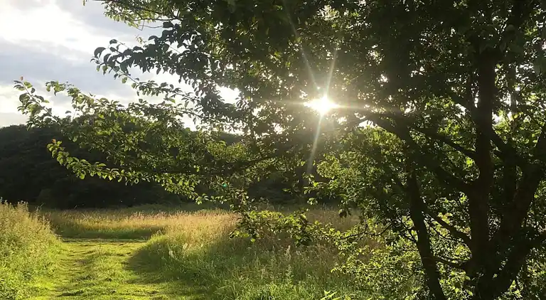Sommerhus i Fugleslev