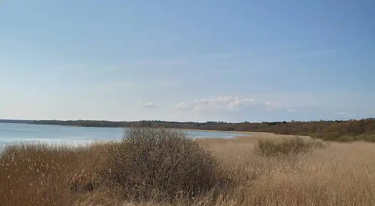 Sommerhus i Fugleslev