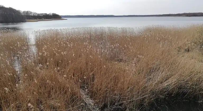 Sommerhus i Fugleslev