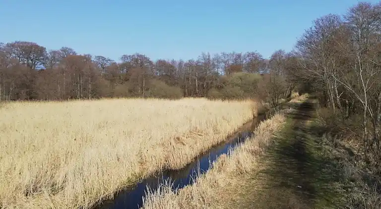 Sommerhus i Fugleslev