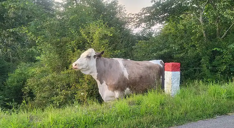 Nybygget sommerhus med havudsigt og spa
