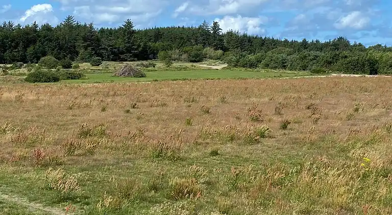 Feriebolig i Grønhøj