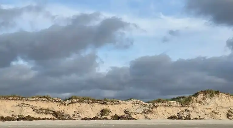 Semesterbostad i Blåvand