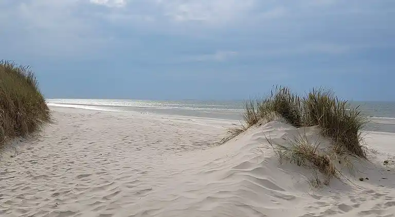 Semesterbostad i Blåvand