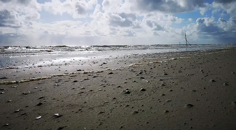 Semesterbostad i Blåvand