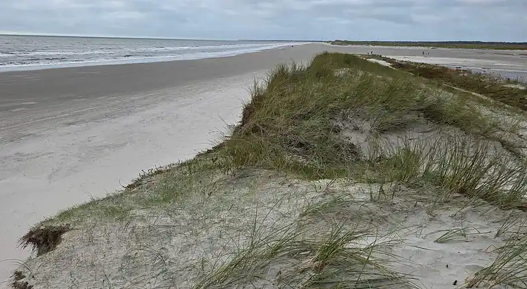 Semesterbostad i Blåvand