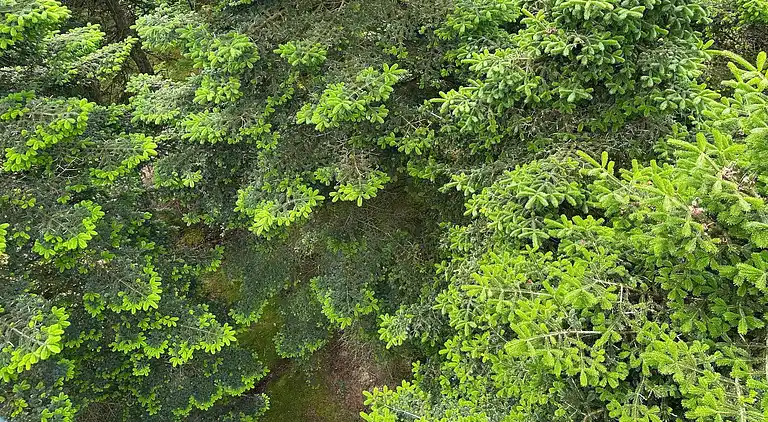 Vakantiehuis in Hovborg