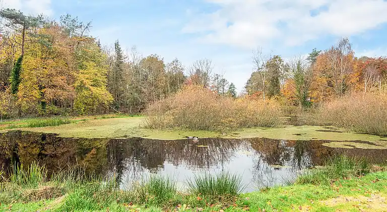 Casa vacanze in Jegum