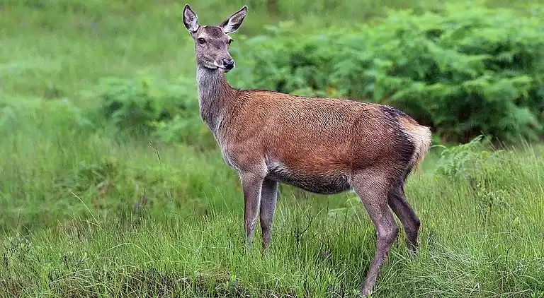 Amazing country retreat, hot tub
