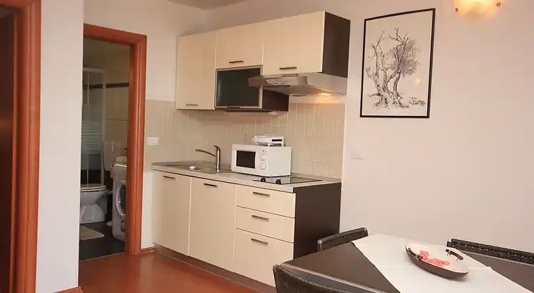 One bedroom apartment with terrace and sea view Rovinj