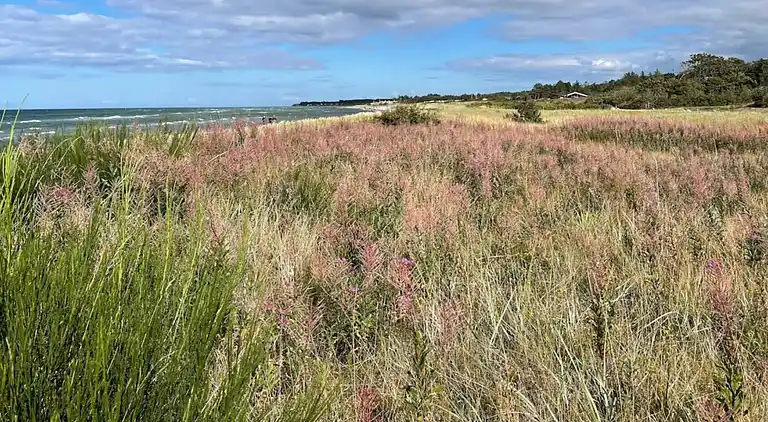 Semesterbostad vid Fjellerup Strand