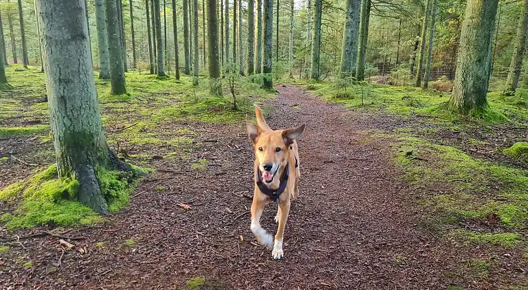Holiday home in Ålbæk