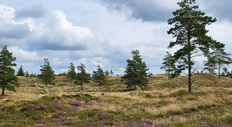 Holiday home in Fjerritslev