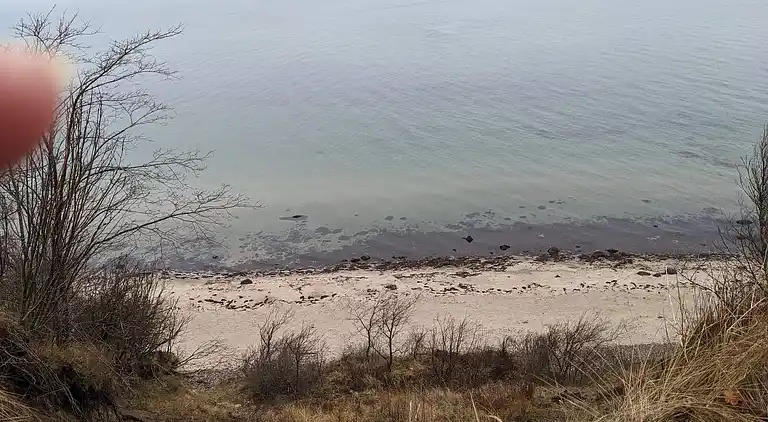 Sommerhus i Dronningmølle