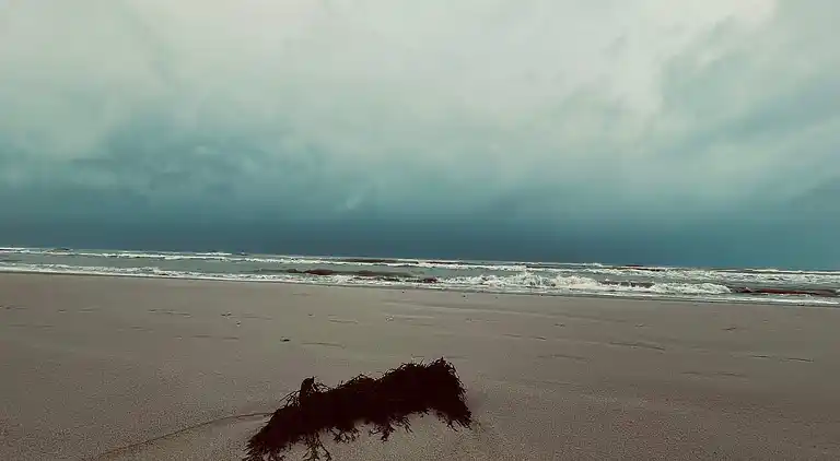 Holiday home in Saltum