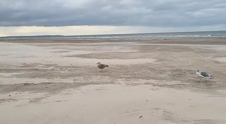 Holiday home in Saltum