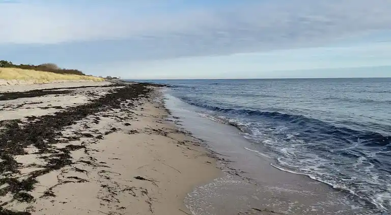 Semesterbostad i Væggerløse