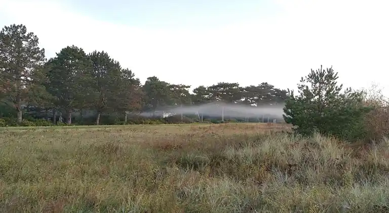 Semesterbostad i Væggerløse