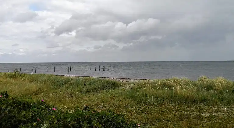 Sommerhus i Spodsbjerg
