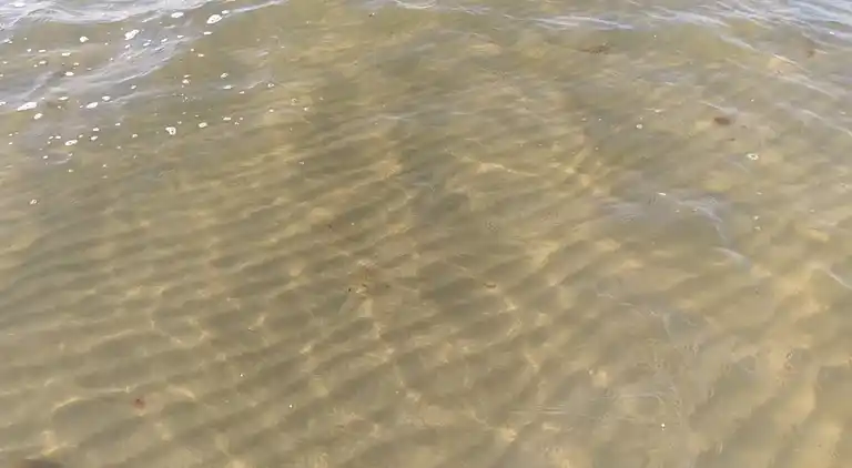 Semesterbostad i Væggerløse