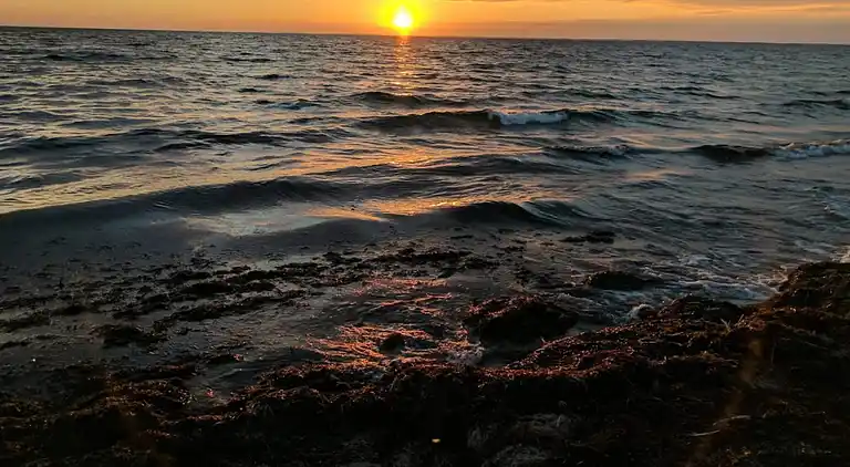 Semesterbostad i Væggerløse