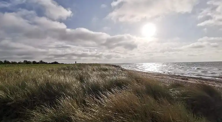 Holiday home in Dannemare