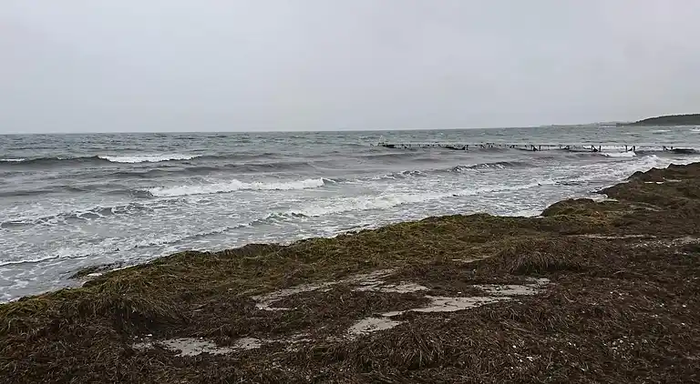 Holiday home in Bagenkop