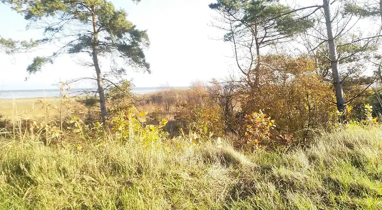 Holiday home in Hadsund