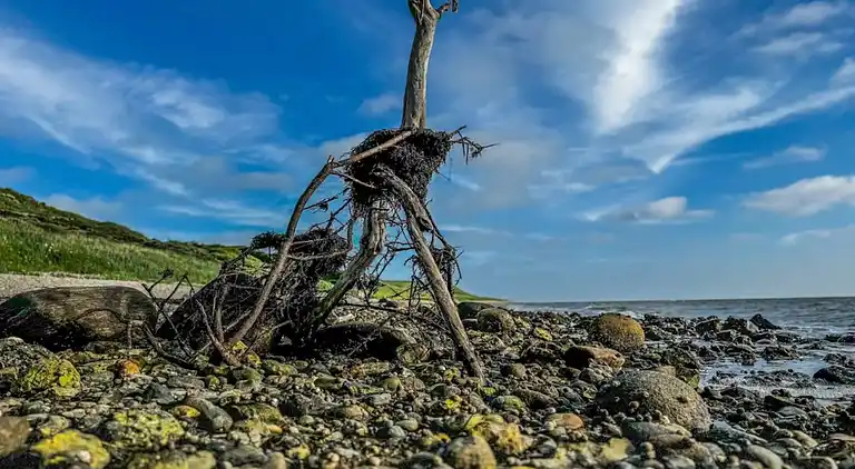 Feriebolig i Vestervig