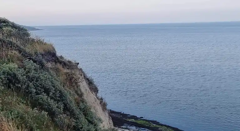 Feriebolig i Vestervig