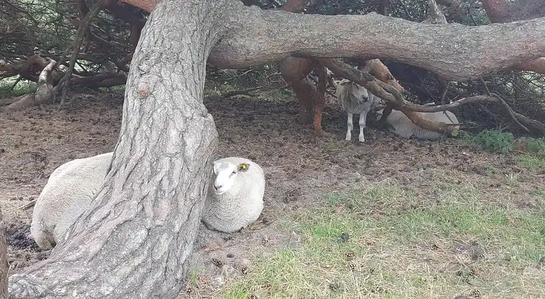 Holiday home in Vejby