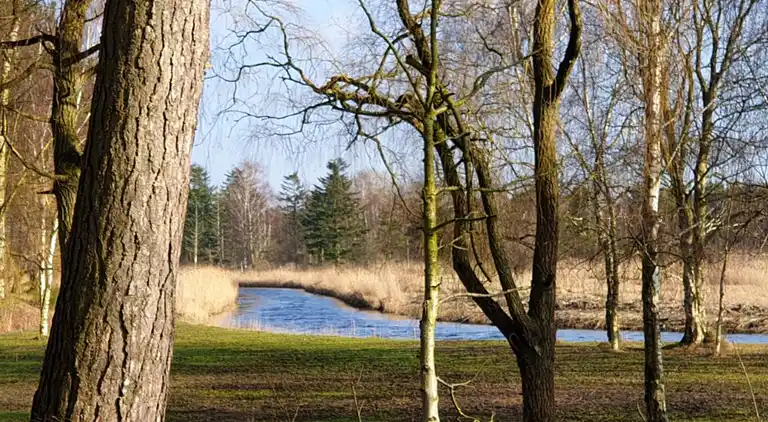 Holiday home in Store Fuglede