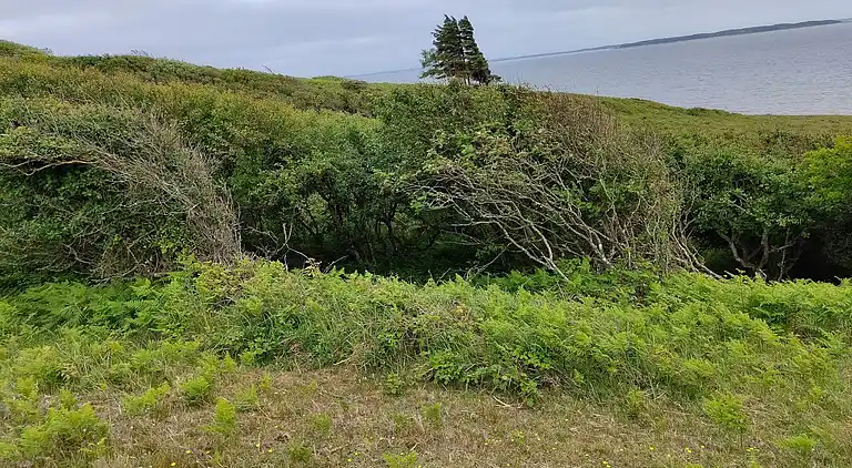 Holiday home in Spøttrup
