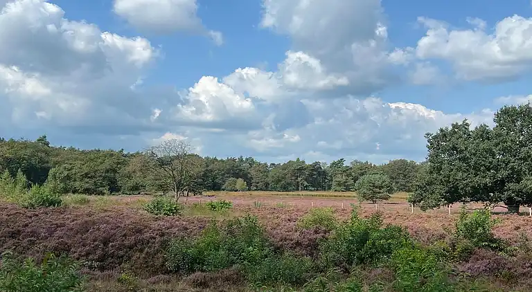 Vakantiehuis in De Kiel