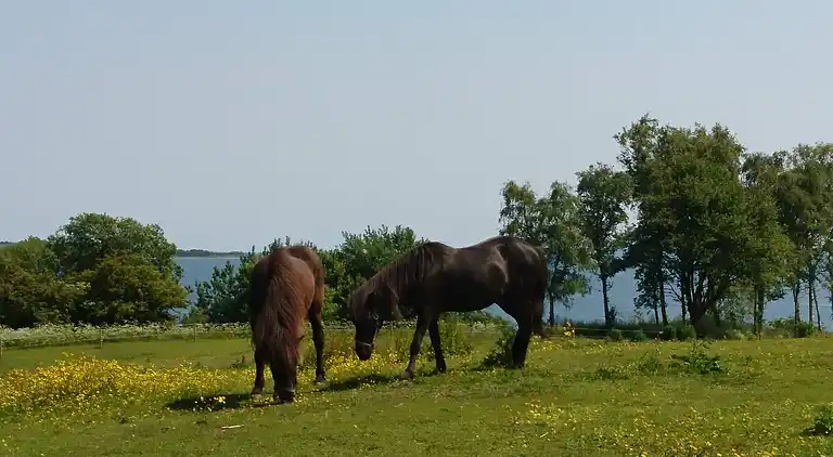 Holiday home in Aabenraa