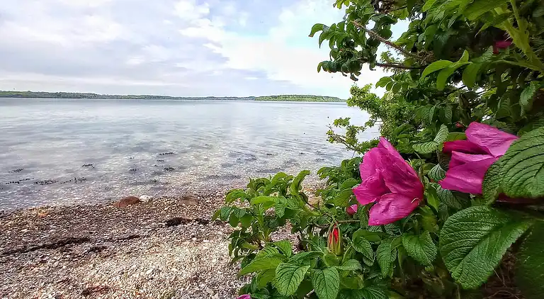 Holiday home in Aabenraa