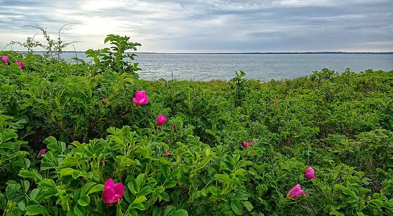 Holiday home in Aabenraa