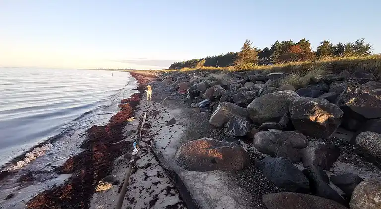 Holiday home in Dannemare