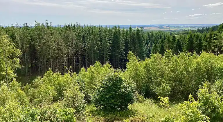 Holiday home in Brovst