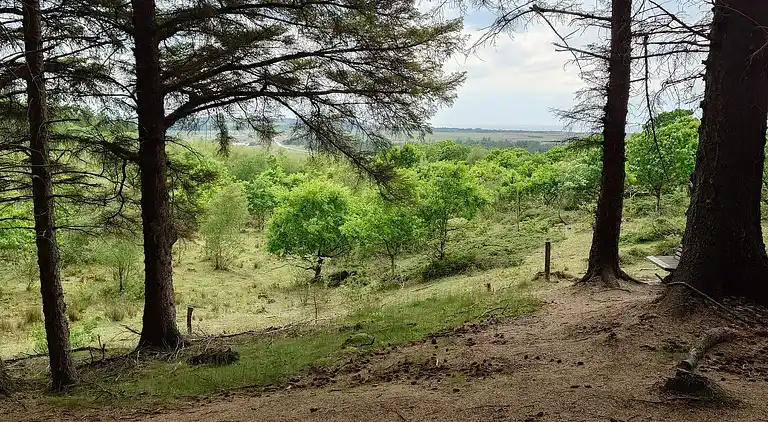 Holiday home in Brovst