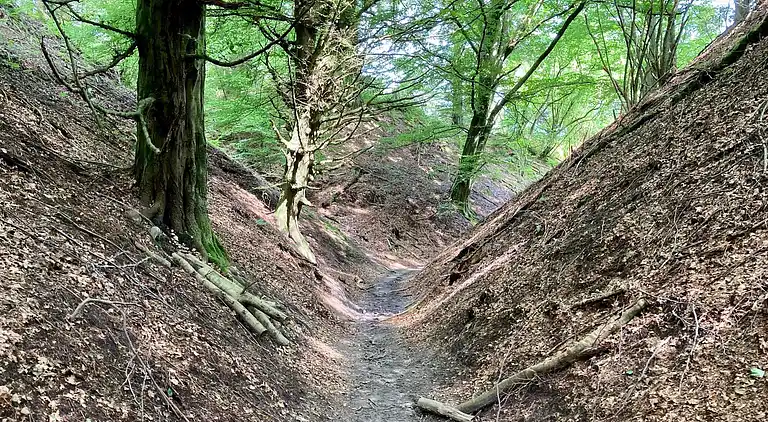 Holiday home in Brovst