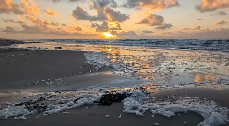 Sommerhus i Jammerbugt