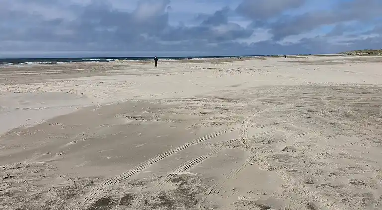 Sommerhus i Jammerbugt