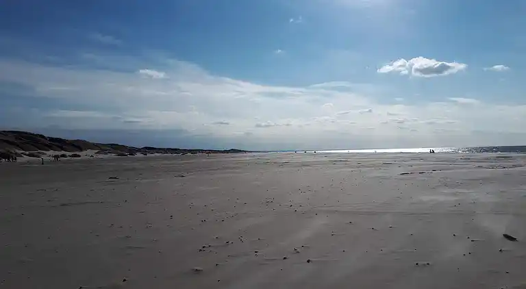 Sommerhus i Jammerbugt