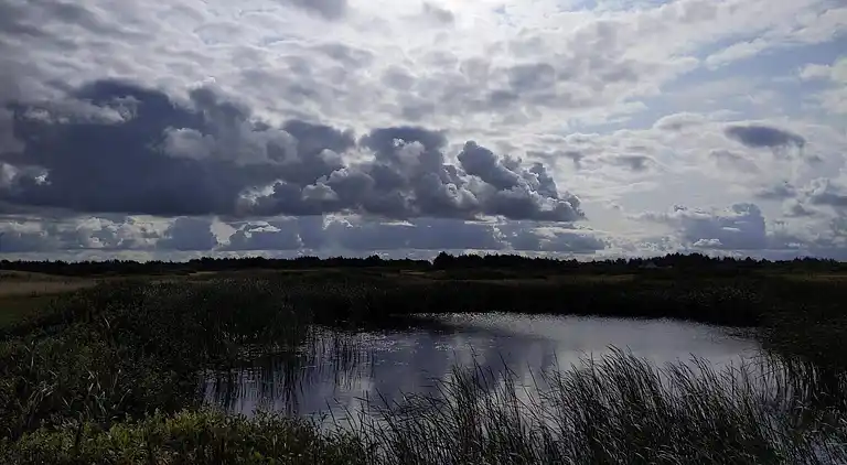 Sommerhus i Lodbjerg Hede
