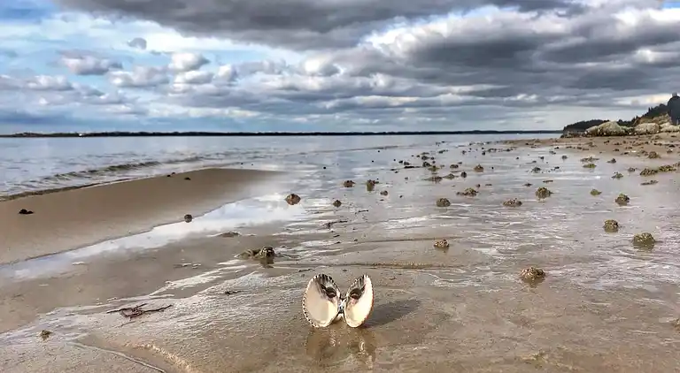 Semesterbostad i Spøttrup