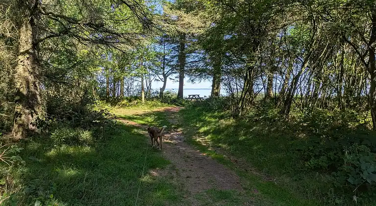 Casa vacanze in Nørre Fjand