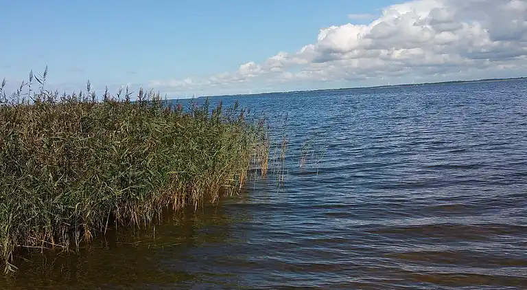 Casa vacanze in Nørre Fjand